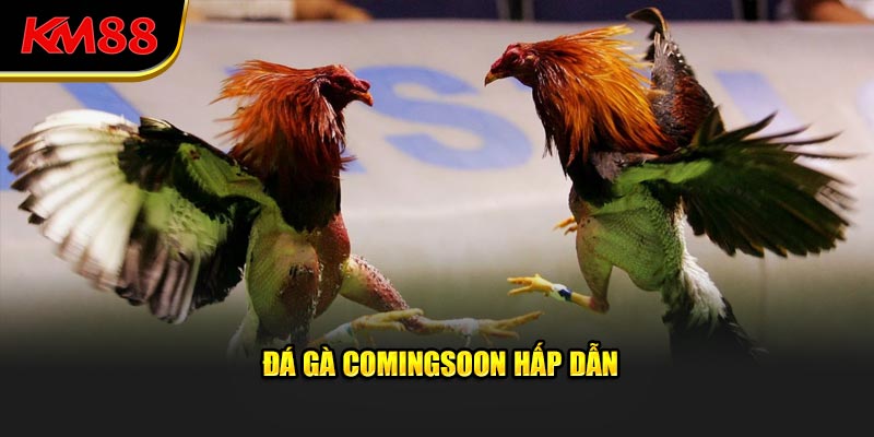 Đá gà COMINGSOON hấp dẫn