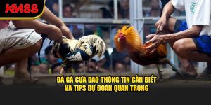 đá gà cựu dao thông tin cần biết và top dự đoán quan trọng